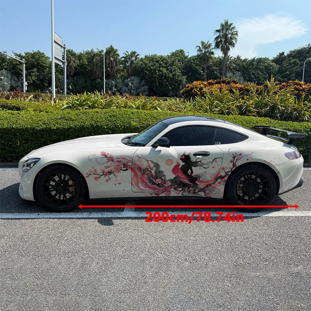 2 adesivi per auto con silhoue - Car Accessories Phoenix recensione e prezzo