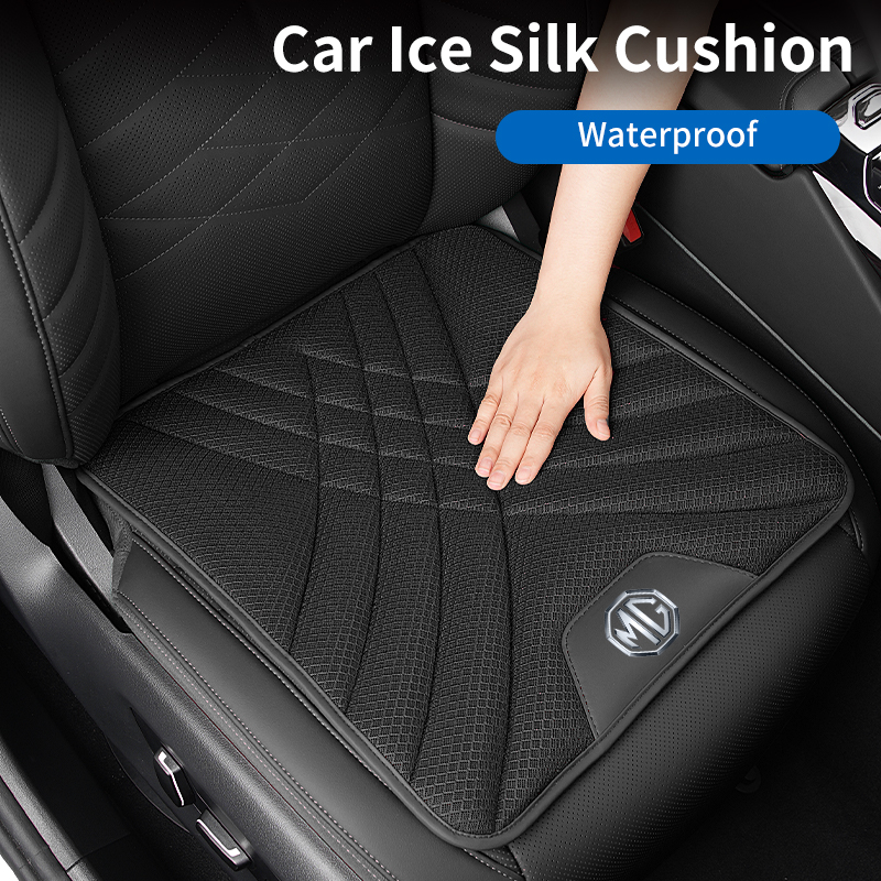 Cuscino del sedile in seta di  - Car Trunk Organizer recensione e prezzo