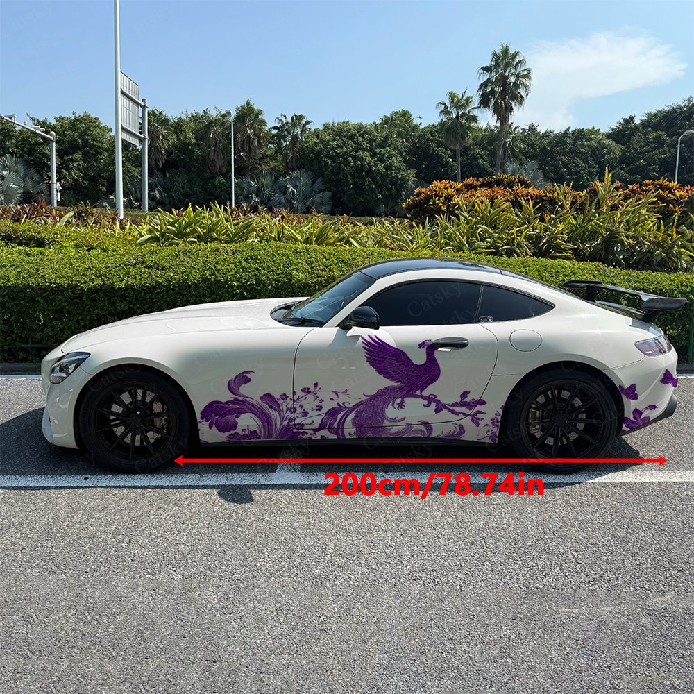 2 adesivi decorativi per auto  - Car Accessories Phoenix recensione e prezzo