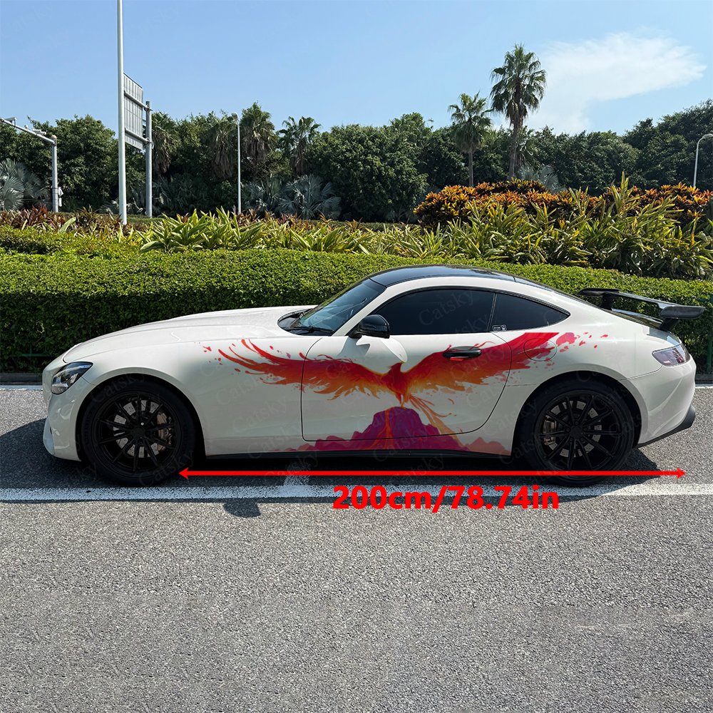2 Pezzi Adesivi Laterali per A - Car Accessories Phoenix recensione e prezzo